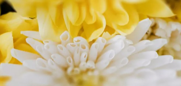 西安霸陵墓園新區(qū)位于哪里，其地理環(huán)境有何特色？