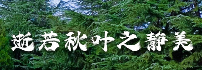 西安壽陽(yáng)山公墓怎么樣