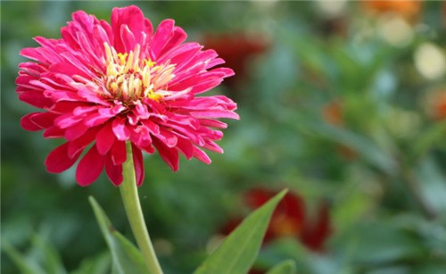 西安市公墓大全、西安市墓園大全、西安便宜的墓地 