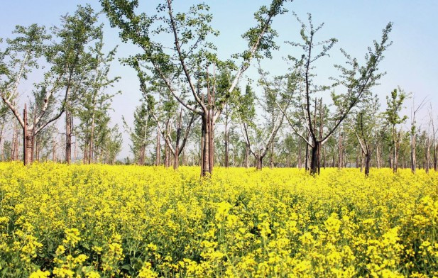 西安壽陽山墓園怎么走，前往西安壽陽山墓園的交通指南