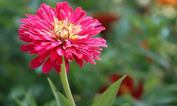 西安墓園銷售顧問(wèn)-西安墓園銷售顧問(wèn)