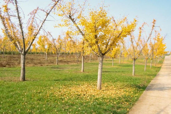 西安基督墓園墓地公墓有哪些