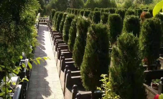 西安市墓園坐多少路車