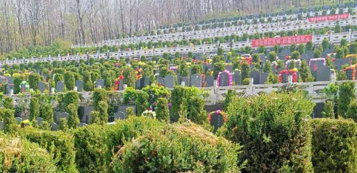 西安霸陵墓園新區(qū)價格 看墓 選墓