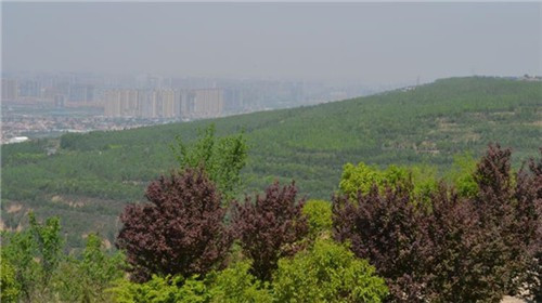 西安教師公墓_西安有幾個(gè)公墓陵園