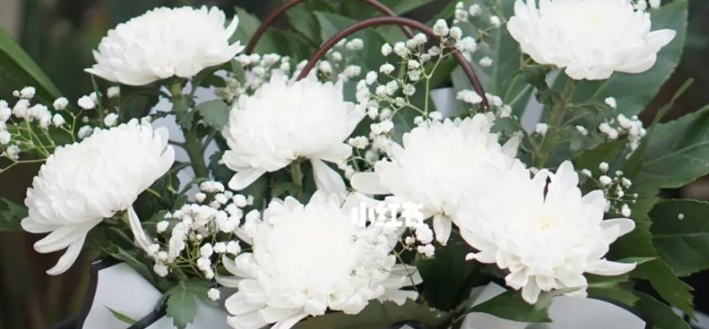 西安壽陽(yáng)山墓園選購(gòu)-西安壽陽(yáng)山墓園一生一世的寄托之所