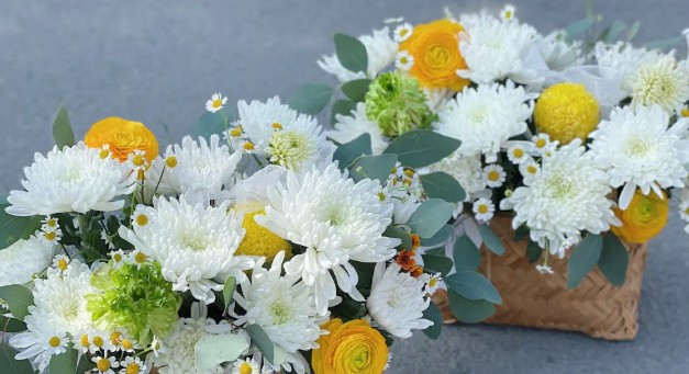 西安漢陵墓園怎么樣？價格、地址、交通情況