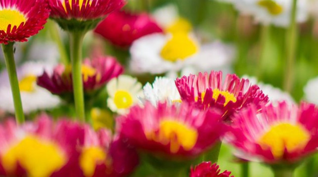 西安最大的墓地