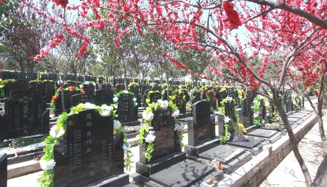 西安高橋墓園聯(lián)系電話,西安市高橋骨灰墓園