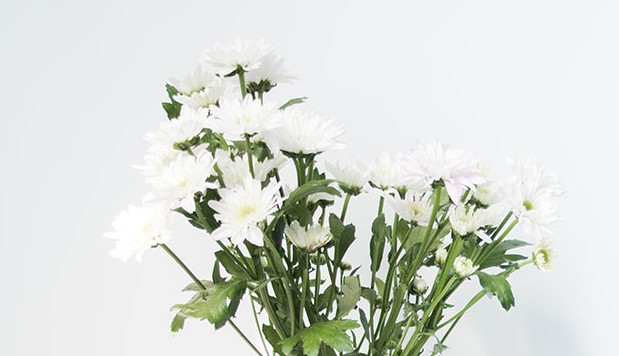 西安市霸陵新區(qū)陵園位置地址、電話-鳳棲山墓園南區(qū)管理處