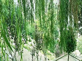 西安壽陽(yáng)山墓園地址 電話 價(jià)格 分水怎么樣