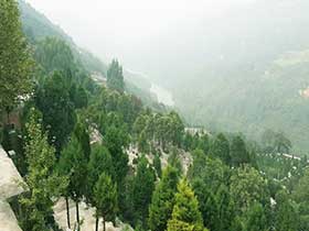 西安壽陽(yáng)山墓園地址 電話 價(jià)格 分水怎么樣