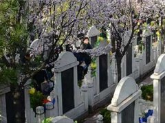 西安公墓墓地價格表_西安市墓地價格表