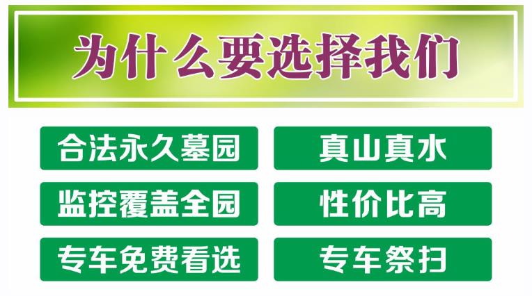 西安鯨魚溝壽陽山圖片，壽陽山公墓