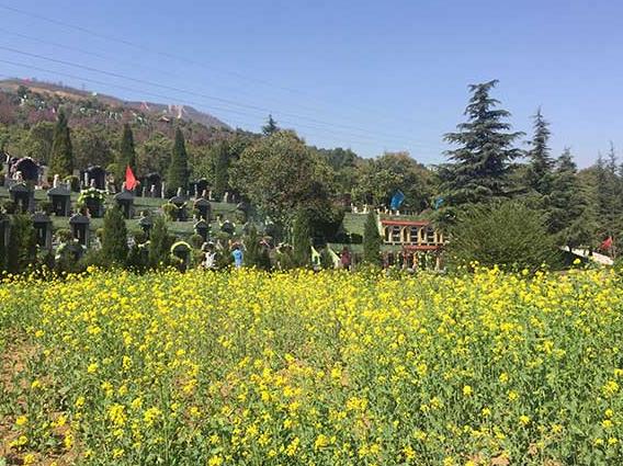 西安市灞橋區(qū)灞陵路毛東村漢陵墓園.萬(wàn)起