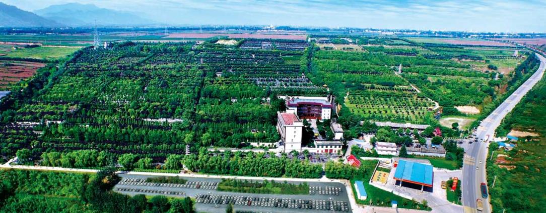 西安市長(zhǎng)安區(qū)鳳棲山人文紀(jì)念園