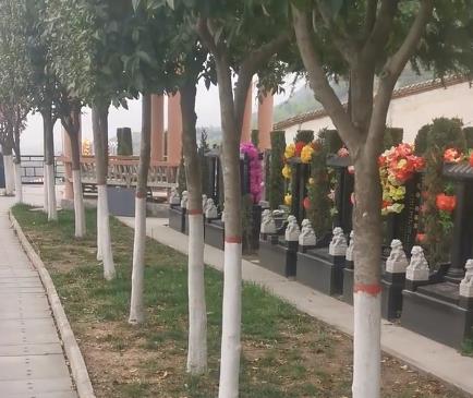 西安霸陵新區(qū)寶玉園，視野開闊，綠樹成蔭！