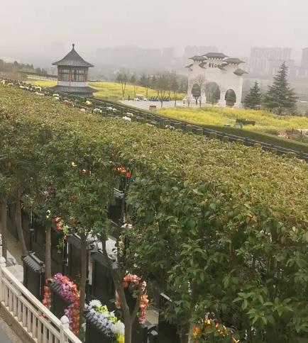 西安霸陵新區(qū)寶玉園，視野開闊，綠樹成蔭！