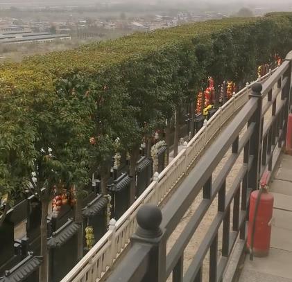 西安霸陵新區(qū)寶玉園，視野開闊，綠樹成蔭！