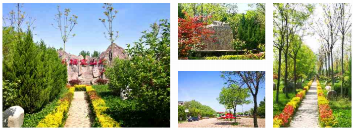 陜西西安鳳棲山墓園看一場(chǎng)花開賞一園美景