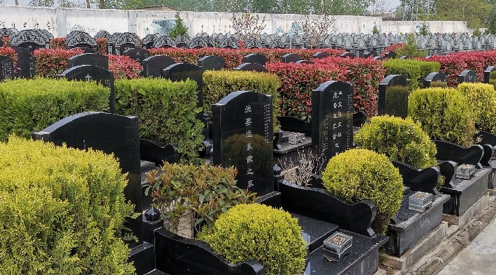 西安棗園山墓園可乘坐路、路、路等公交車抵達