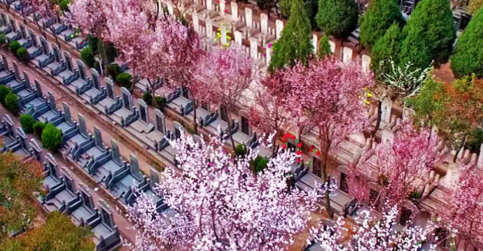 西安鳳棲山墓園北區(qū)可乘坐、路公交車抵達